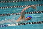 Swimming & Diving vs RWU  Swimming & Diving vs Roger Williams University. - Photo by Keith Nordstrom : Wheaton, Swimming